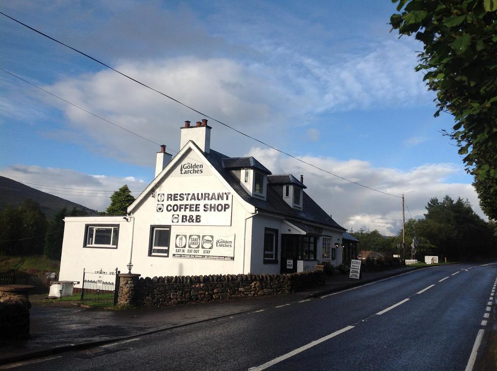 The Golden Larches Bed and Breakfast Lochearnhead Eksteriør billede