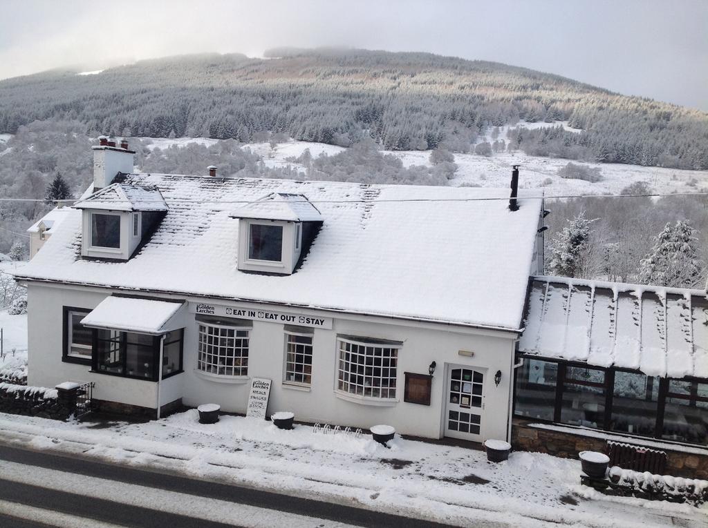 The Golden Larches Bed and Breakfast Lochearnhead Eksteriør billede