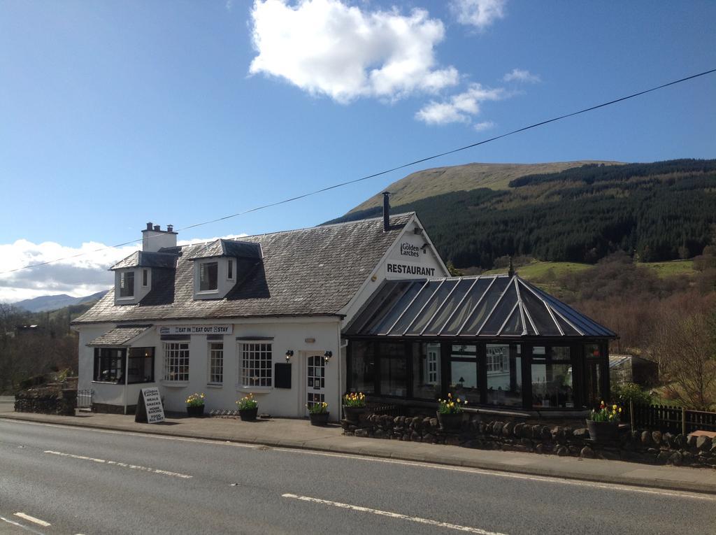 The Golden Larches Bed and Breakfast Lochearnhead Eksteriør billede