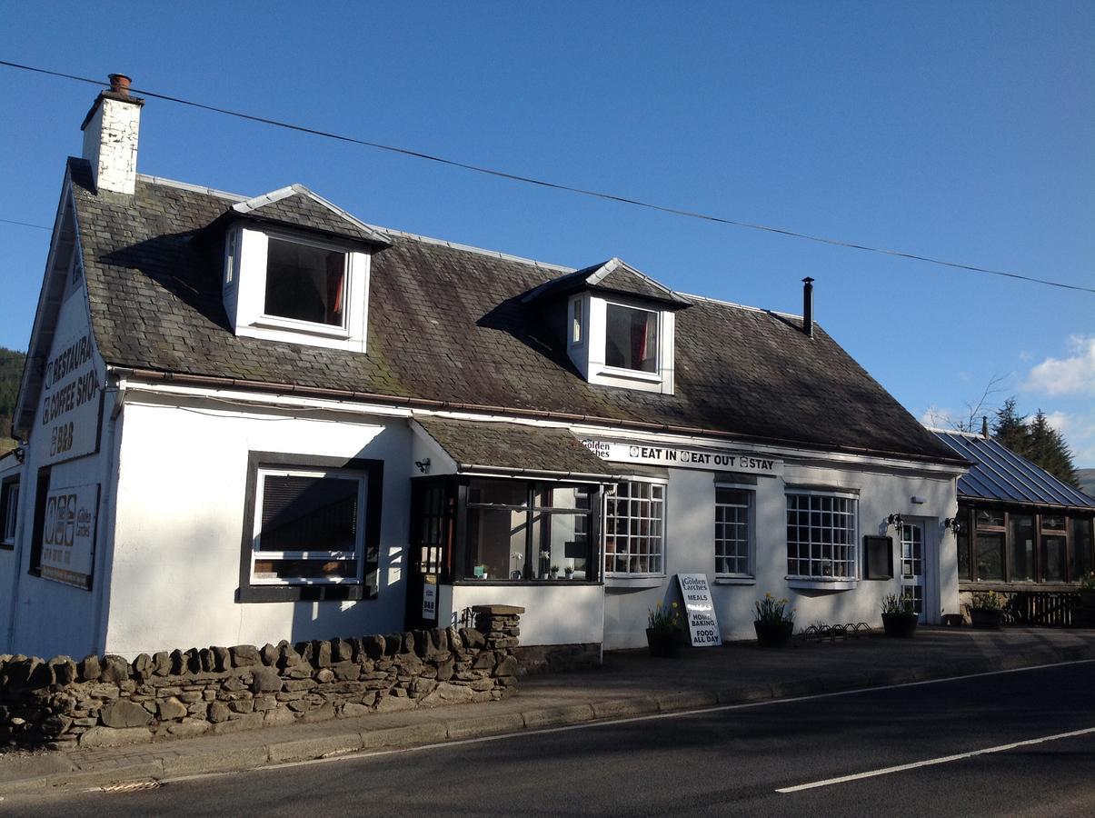 The Golden Larches Bed and Breakfast Lochearnhead Eksteriør billede