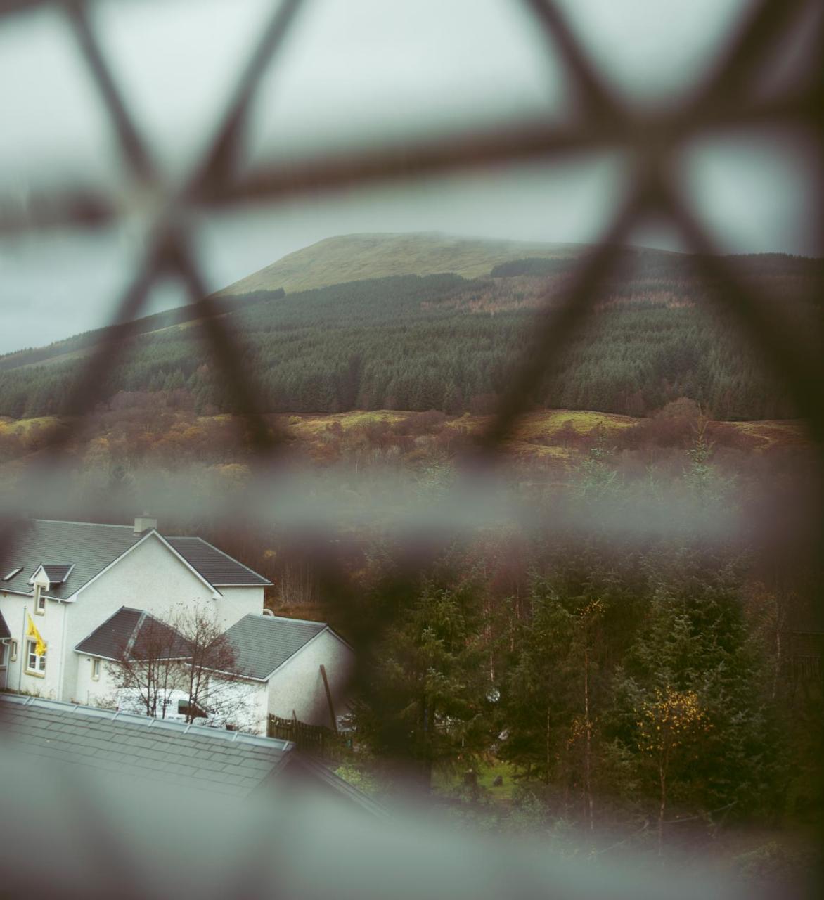 The Golden Larches Bed and Breakfast Lochearnhead Eksteriør billede